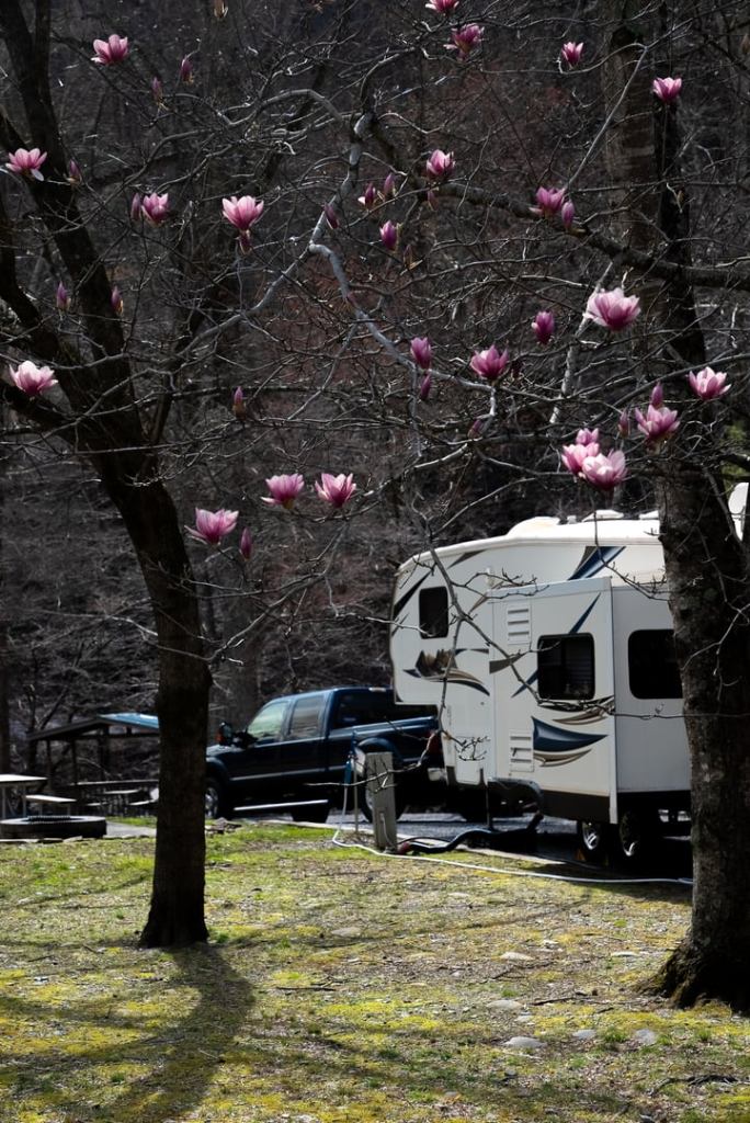 A RV on a summer day at Base Camp